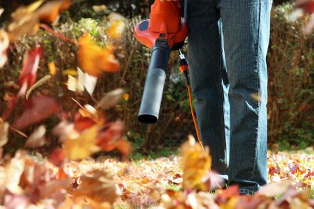 garden maintenance