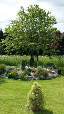 golden grove landscaping