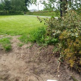 golden grove landscaping