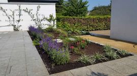 golden grove landscaping