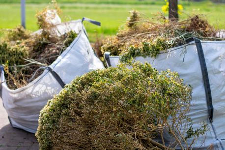 site clearance