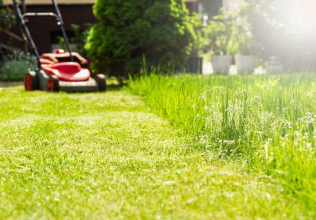 garden maintenance