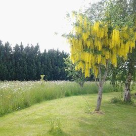 golden grove landscaping