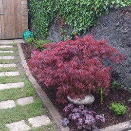 golden grove landscaping