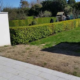 golden grove landscaping